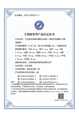 2023年度专利密集型产品认定